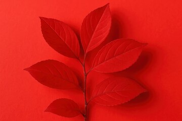 red leaves on a red background