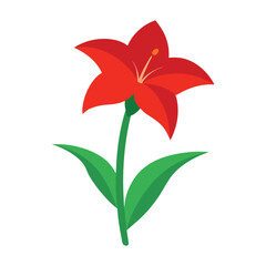 Elegant amaryllis flower with vibrant petals and tall stem perfect for holiday or botanical decor Vector illustration on white background