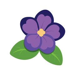 Beautiful african violet flower featuring soft purple petals and lush green leaves for botanical designs Vector illustration on white background