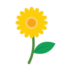 Cheerful dahlberg daisy flower with small golden petals for bright garden illustrations Vector illustration on white background