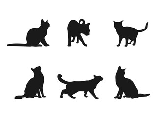 Burmese cat silhouette icon. Popular Cat Breeds Silhouette Bundle. Silhouette of Various Cats in Different Poses.