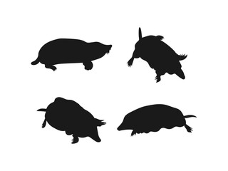 Black Mole is a walking vector illustration. mole rat symbol, black isolated silhouette. Black Mole Silhouette Vector Images.