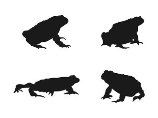 frog silhouette set collection isolated. Top view toad silhouette vector flat illustration design. Toad Silhouettes Against a White Background.