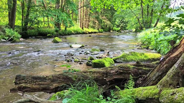 Mitternacher Ohe River in the bavarian Forest Germany 