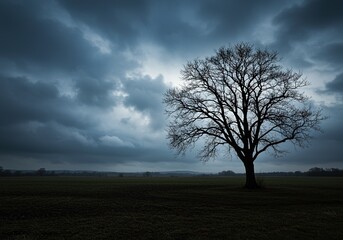Obraz premium Dramatic landscape photography of bare tree silhouette against a stormy sky at dusk or dawn scene outdoors