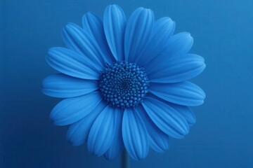 A single blue flower on a blue background