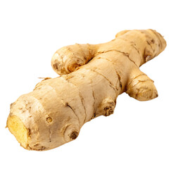 Fototapeta premium A fresh whole ginger root, a spicy ingredient for cooking isolated on a transparent background png