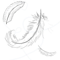 Outline feather icons design in minimal style.