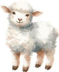 A watercolor vector illustration of a sheep