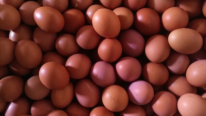 Minimalist Egg Background with Brown Hues and Soft Shadows. 