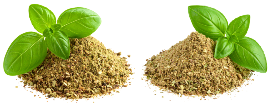  Isolated Pile of Dried Oregano Powder with Fresh Leaf, isolated on transparent background PNG