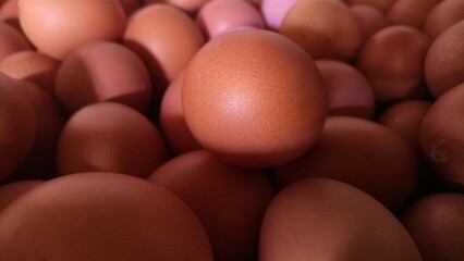 Single Brown Egg in Focus Surrounded by Dozens in Soft Natural Light. 