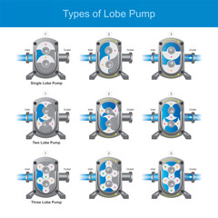 Illustrates the various types of lobe pumps based on the number of lobes, and demonstrates their working principles through a series of sequential diagrams for each type.