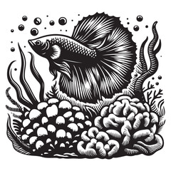 Betta fish swimming among coral reefs image vector.