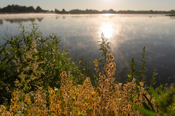 Piękny poranek nad wodą, sezon letni, Polska Śląsk. 