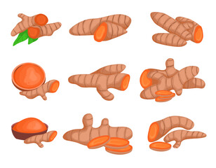 Set Vector Illustration of Turmeric