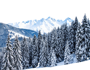 Snow covered pine trees with snowy mountains in the background scene isolated on transparent background