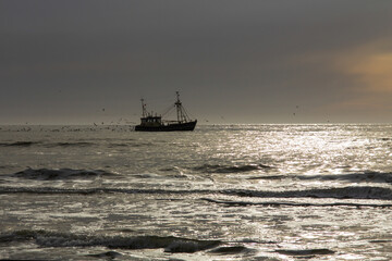 Seascape at the North-Sea by De Koog where a fishing boat is being chased by seagulls