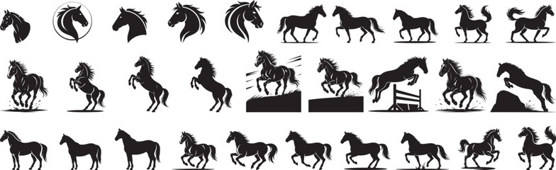 Majestic horses in various poses and actions silhouette