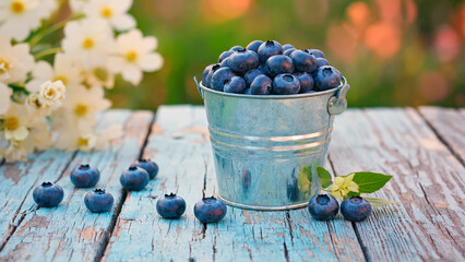 Metal bucket filled with blueberries stands on light napkin on wooden surface. Calm summer background.