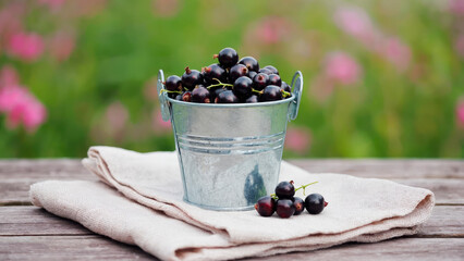 Juicy berries in metal buckets on a rustic table. Summer rustic still life in nature with strawberries, blueberries and black currants.