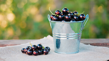 Juicy berries in metal buckets on a rustic table. Summer rustic still life in nature with strawberries, blueberries and black currants.