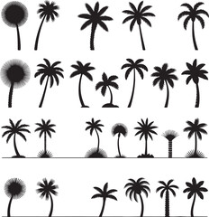 Palm tree silhouette vector collection featuring a variety of tropical shapes and styles for summer vacation beach nature and travel themed designs