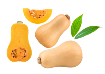 butternut squash slice  isolated on transparent png (Image from camera)