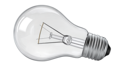 Clear glass incandescent light bulb lying on a black background with detailed filament.