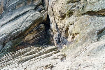 Naklejka premium texture of coarse-grained Ciężkowice sandstone in the Prządki rock reserve, Poland