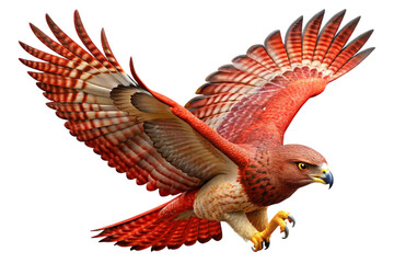 Red tailed hawk in flight with detailed feathers isolated on transparent background
