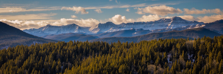Majestic Rocky Mountains Overlooking Pine Forest