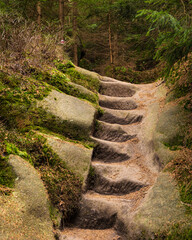 Stone stairs leading up a path in the forest