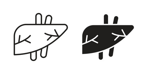 Liver icon. Flat and stroke versions. Graphic elements.