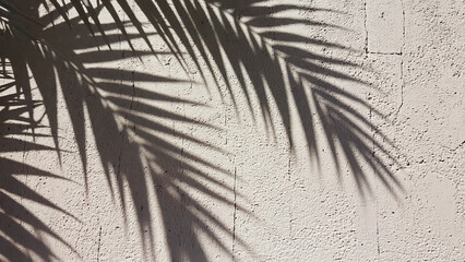 Palm leaf shadows on a bright surface. Minimal, sunny, tropical mood.
