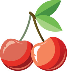 vector illustration of cherries