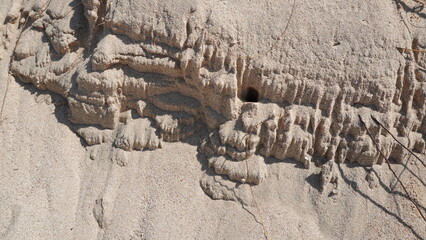Eroded Sand Dune Texture