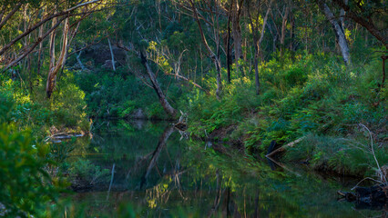 Little river in nattai national park Buxton NSW Australia.