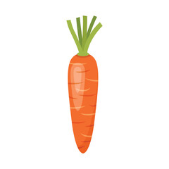 Carrot vegetable icon in flat style. Healthy food vector illustration on isolated background. Natural meal sign business concept.
