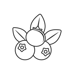 Cranberry fruit icon in stroke linear flat style. Lingonberry vector illustration on isolated background. Fresh berry sign business concept.