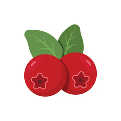Cranberry fruit icon in flat style. Lingonberry vector illustration on isolated background. Fresh berry sign business concept.
