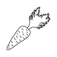 Carrot vegetable icon in flat style. Healthy food vector illustration on isolated background. Natural meal sign business concept.