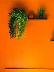 Bright orange wall with black shelves holding green plants and a pumpkin. Bold minimal interior design with vibrant color contrast