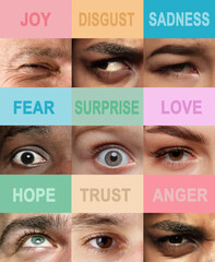 Nine close-up shots of eyes showing different emotions like joy, fear, surprise, and trust, each...