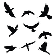 Simple birds flying illustration vector.