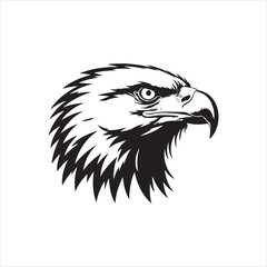 Obraz premium Eagle Head Vector – Fierce Black and White Bird Illustration