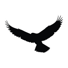 Simple birds flying illustration vector.