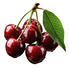 Freshly harvested cherries displaying water droplets on the dark red fruit with a green leaf