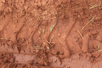 Close-up of moist soil with tire marks and bucket traces