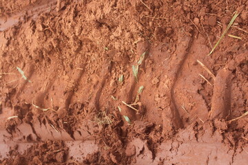 Soil Damage Caused by Heavy Agricultural Machinery.